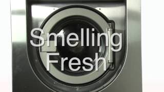 Miele Wet Cleaning System