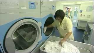 Stop Diseases with Electrolux Good Laundry Practice