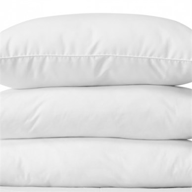 Pillow Micofibre (Pair)  800gm  48x74cm